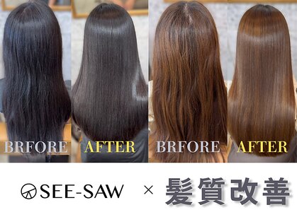 シーソー(SEE-SAW)の写真