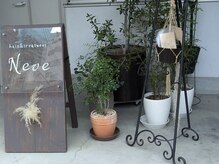 ネーヴェ アカバネ(Neve akabane)の雰囲気（店内にも観葉植物が沢山ございます）