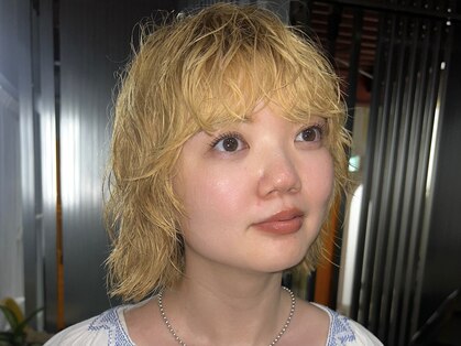 シロ(Shiro)の写真