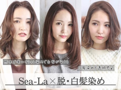 シーラビューティーリゾート(Sea-La Beauty Resort)の写真