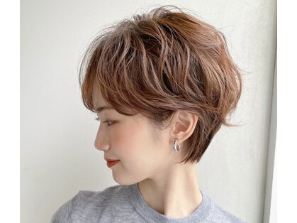 モロ(MORO)の写真