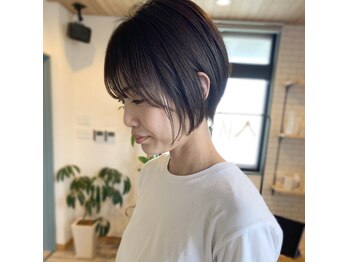 SURGE【サージ】