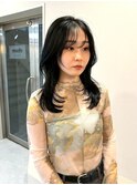 韓国風ウルフレイヤーミディ