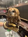 キャトルセゾン(quatre saisons)&nbsp;動物が大好きです。特に、フクロウが好きです。