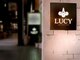 ルーシー(LUCY)の写真