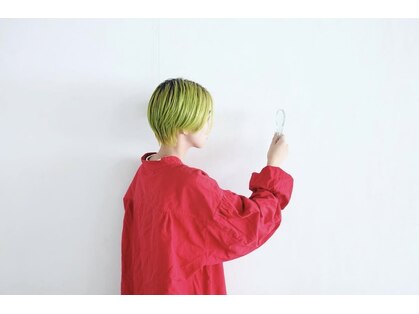 ミン(MIN)の写真