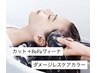 カット+ダメージレスカラー+ウルトラファインバブル[ヴィーナ]￥15400→￥13200