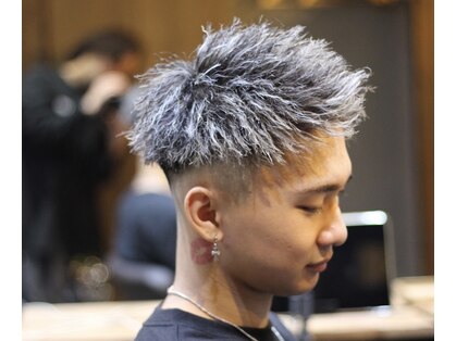 ヴェン(ven)の写真
