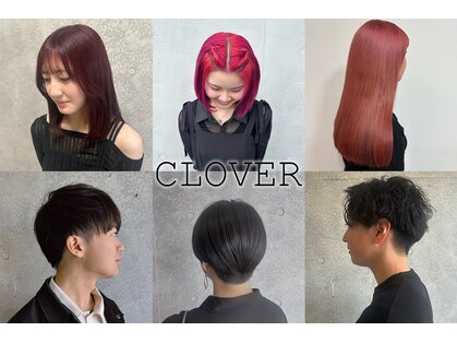 クローバー(CLOVER)の写真