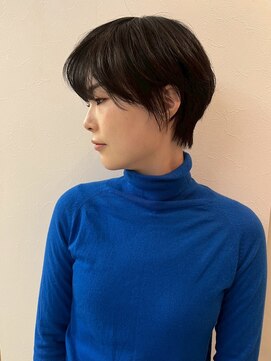 ヘアーオーパス 地毛風カラーハンサムショート