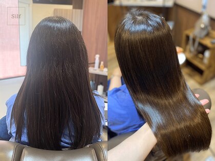 シルフ(Silf)の写真