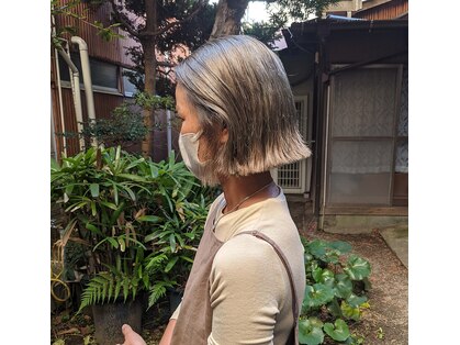 ヂウ 藤沢(zhu)の写真