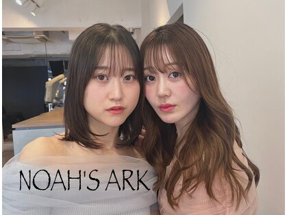 ノアーズアーク(NOAH'S ARK)の写真