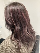 ガーベラ(gerbera)&nbsp;コントラストハイライト♪