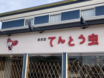 てんとう虫の写真/《カット￥2530～》ハイクオリティな技術が低価格で何度でも通いやすい◇ごゆっくりおくつろぎ下さい◎