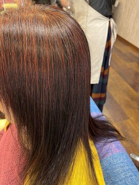 シャンプー SHAMPOO 【髪質改善】天然100％ヘナカラー