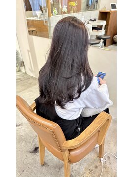 マロウ(mallow) 《花屋併設》ダークパープル レイヤーカット