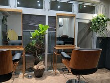 エスプラント(S.plant)の雰囲気（緑の多い落ち着いたプライベートサロン[目黒/ヘナ/白髪ぼかし]）