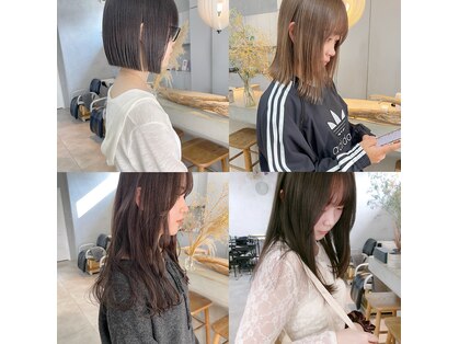 ミント(mint)の写真