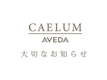 カエルムアヴェダ(CAELUM AVEDA)