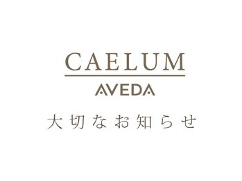 CAELUM AVEDA【カエルム　アヴェダ】