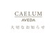 カエルムアヴェダ(CAELUM AVEDA)の写真