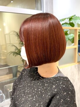 ミモザ(Mimosa) 《Mimosa》 グラボブ