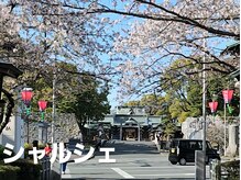 シャルシェ(Chercher)