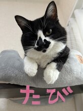 リバース(Re birth) たび