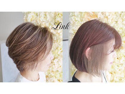 リンク(Link)の写真