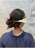 和装カチモリ