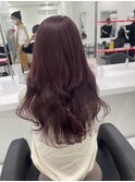 ピンクラベンダー
