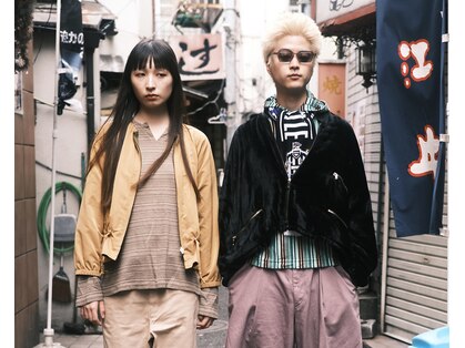 ノイス(noyce)の写真