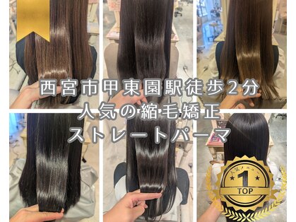 きいろのゾウの写真