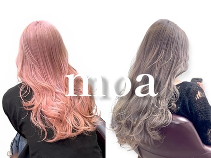 モア(moa)の写真