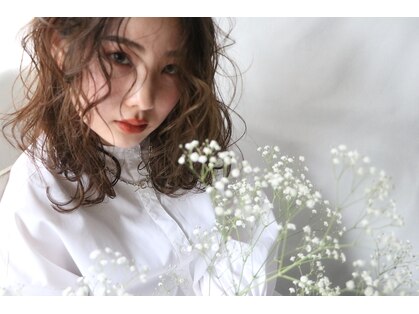テラ(TELA)の写真