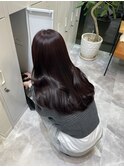 Lavender / ayana 梅田
