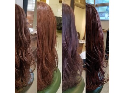 ベンチ 新宿店(bench)の写真