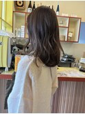 〈浅草 半個室〉シアーベージュ