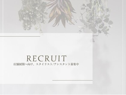 スイ(sui)の写真