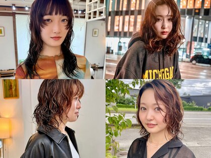 コヨミ(583)の写真