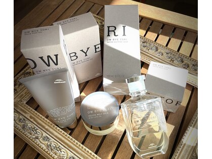 シープ(Sheep)の写真