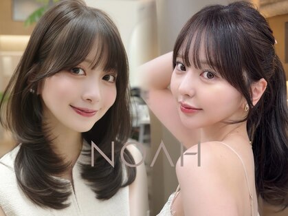 ノア(NOAH)の写真