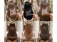 プラタナス 国分寺北口店(PLATANUS)の写真