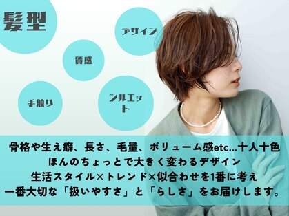 リーク(LEEK)の写真
