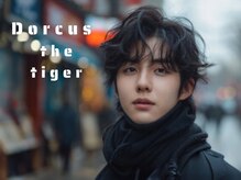 ドルクスザタイガーリヨウシツ(Dorcus the tiger)