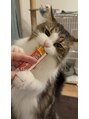 バルべス トーキョー(BARBES TOKYO)&nbsp;愛猫ソラです。ぜひ猫トークしましょう！
