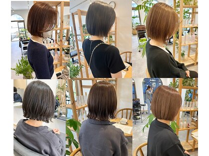 ソラ(SORA.)の写真