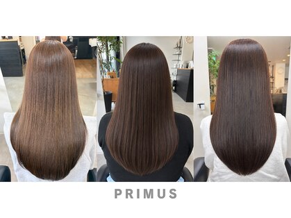 プリームス(PRIMUS)の写真
