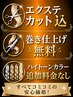 60cm【100%人毛よりも良い質】100%レミーシールエクステ40枚 